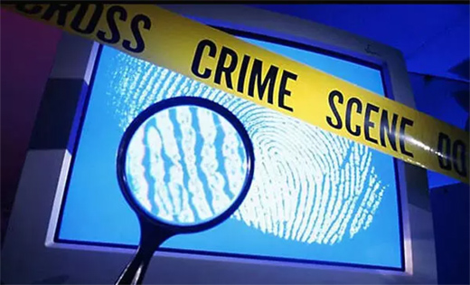 Crime 